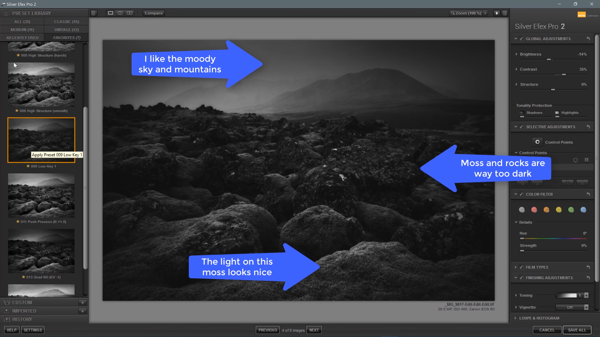 Arrows pointing to the color adjustments to make to a black and white photo of rocky moss