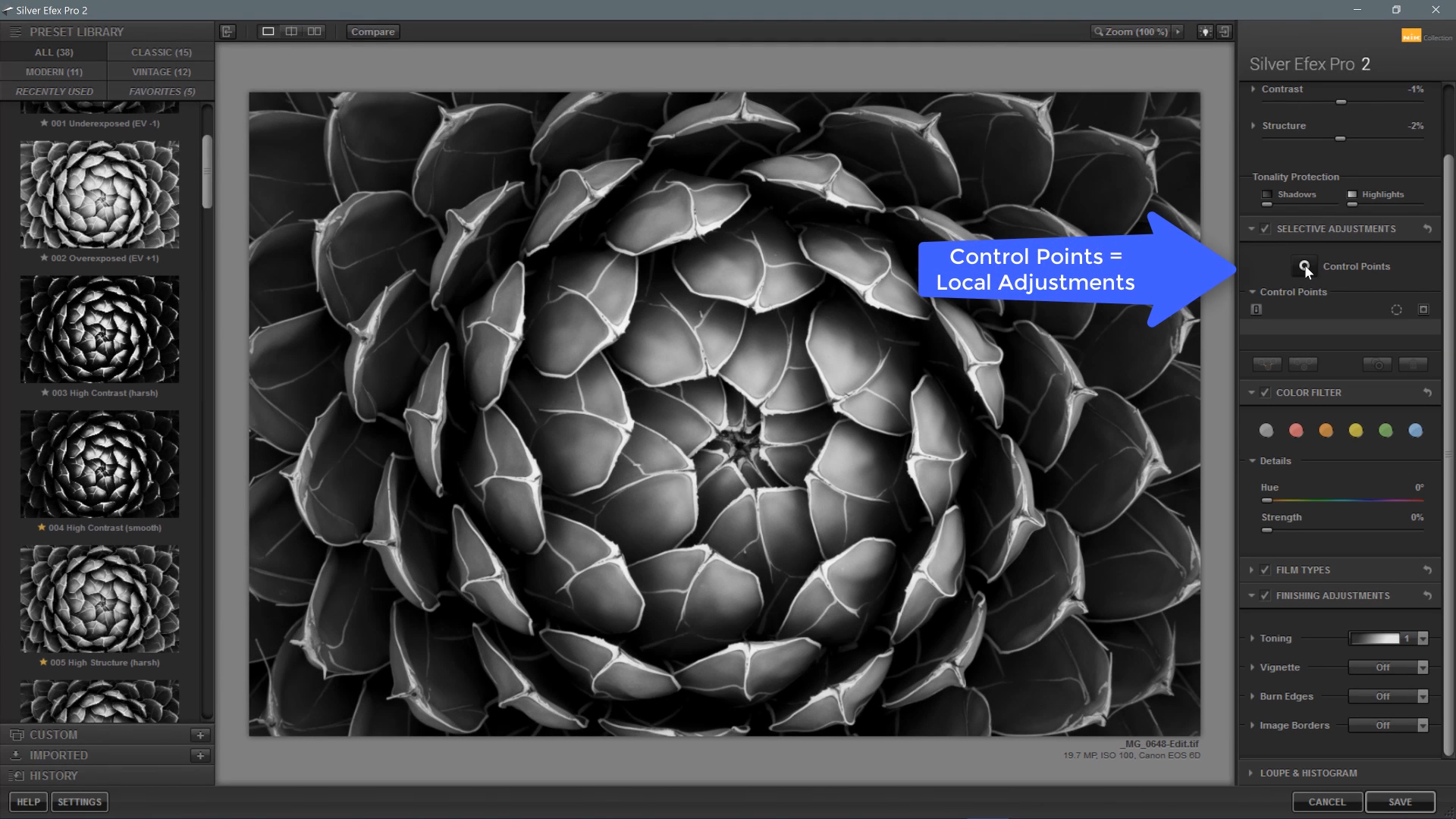 Adjust the color of a close up succulent photograph