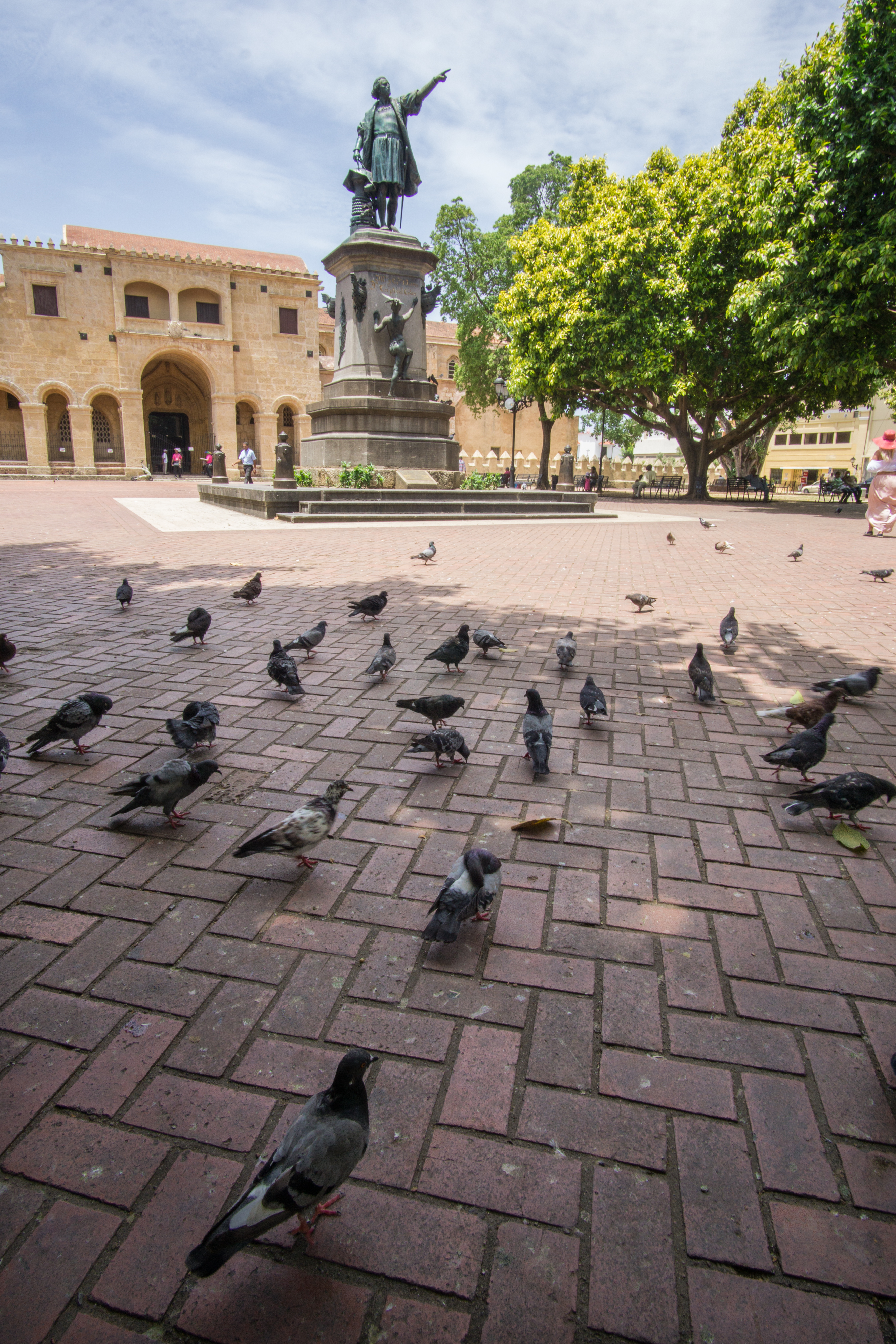 Better Travel - Flock of Pigeons