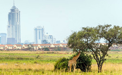 Nairobi