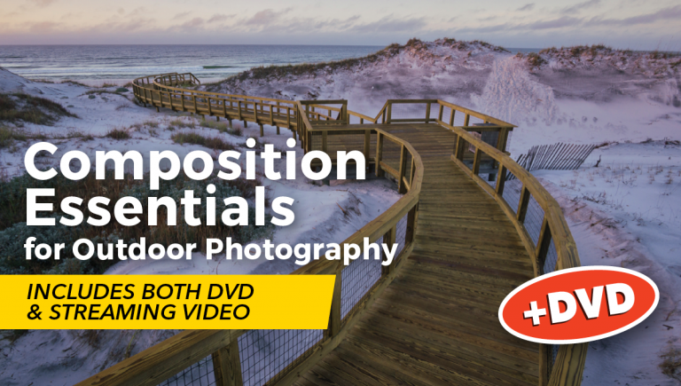 Composition Essentials + DVDproduct featured image thumbnail.