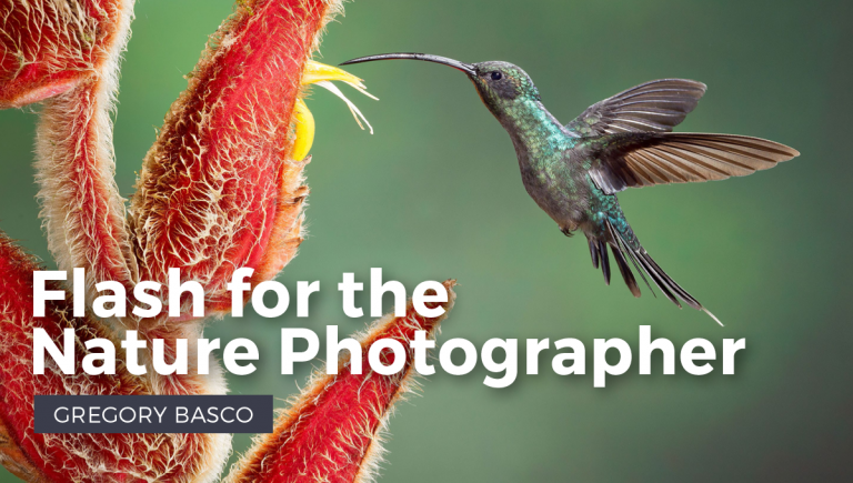 Flash for the Nature Photographer eBookproduct featured image thumbnail.