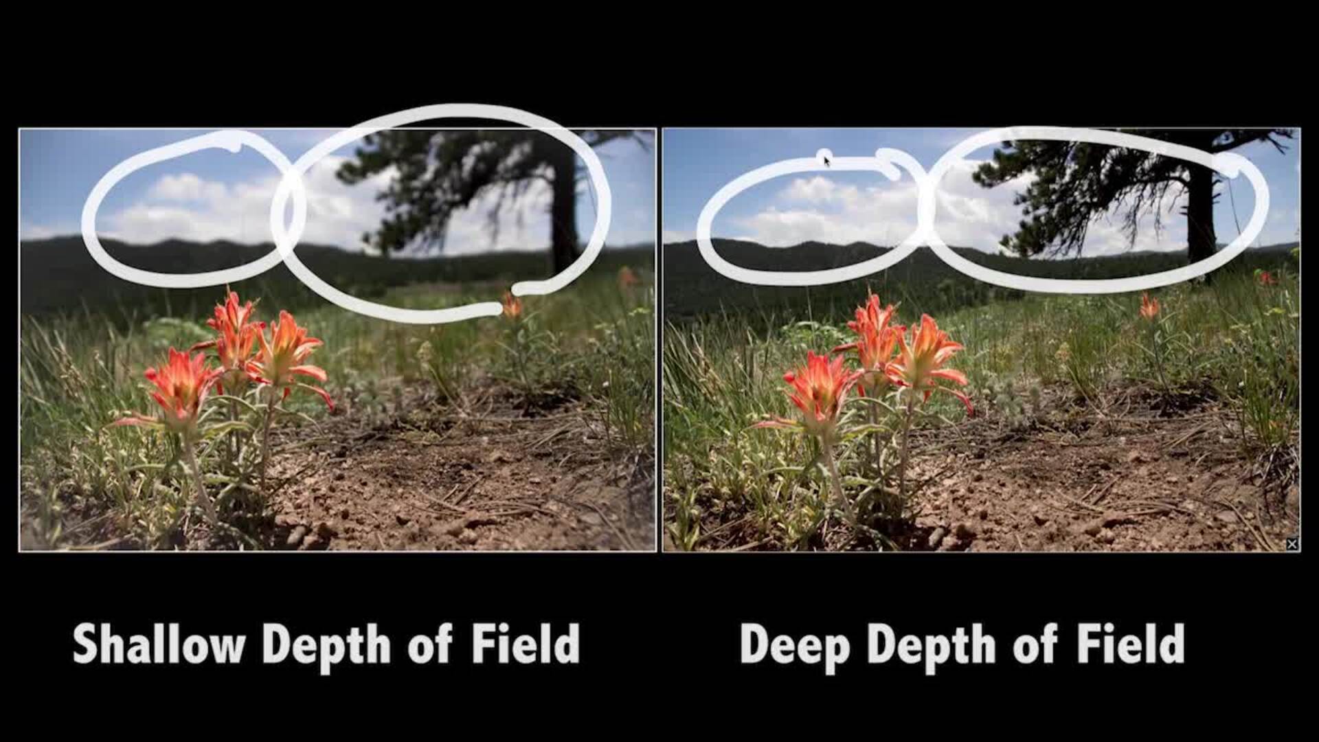 Session 6: Depth of Field