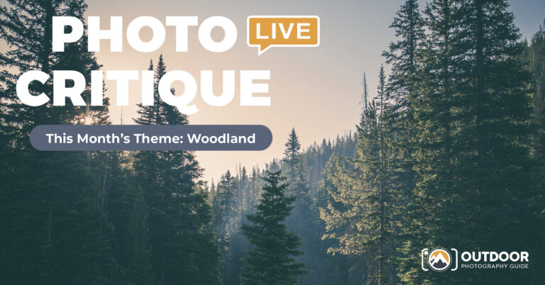 Photo Critique: Woodlandsproduct featured image thumbnail.