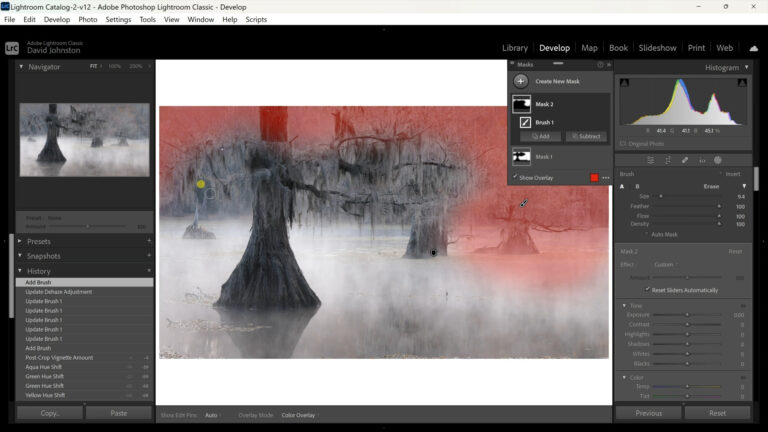 Adding the Right Atmosphere to Foggy Photosproduct featured image thumbnail.