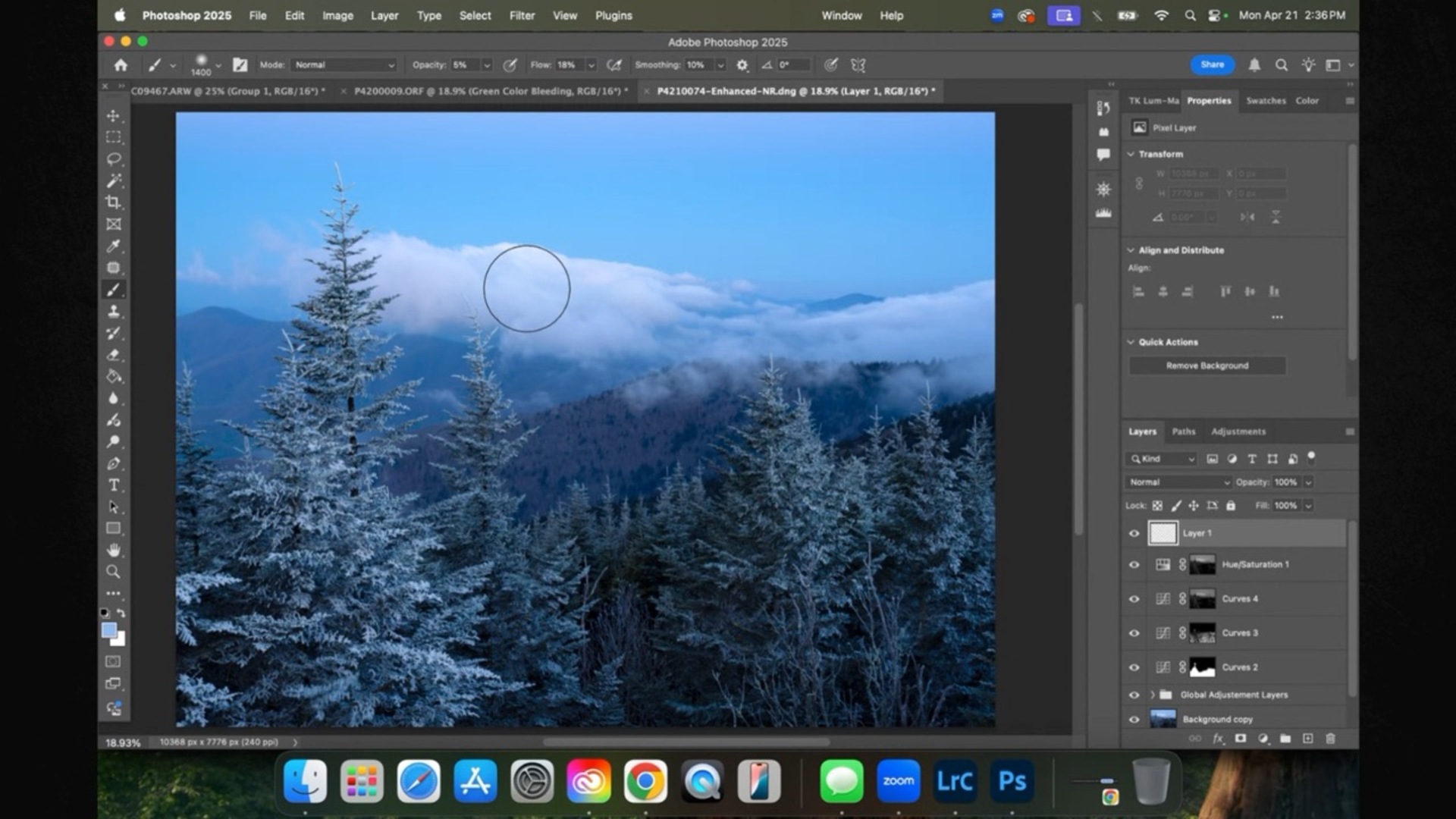 The Full Photoshop Workflow