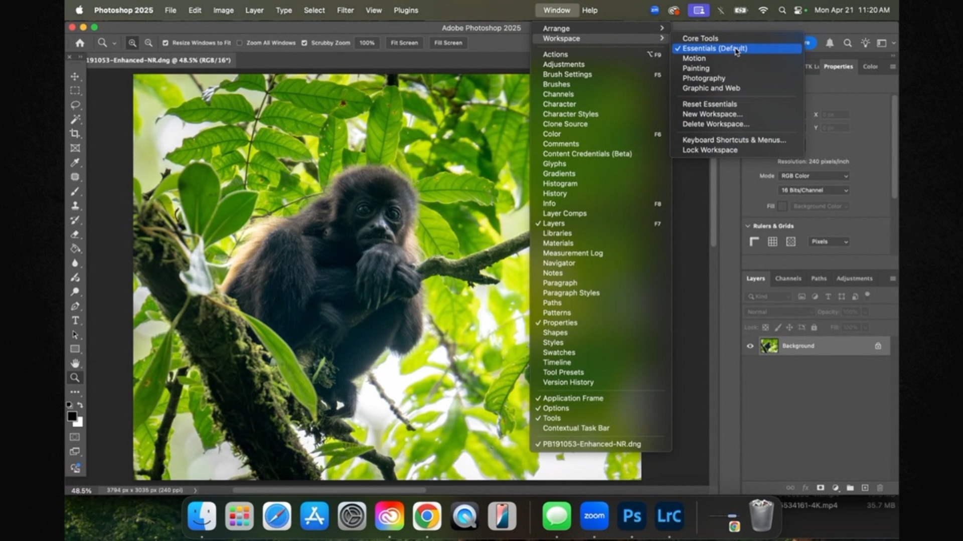Organizing Your Photoshop Workspace