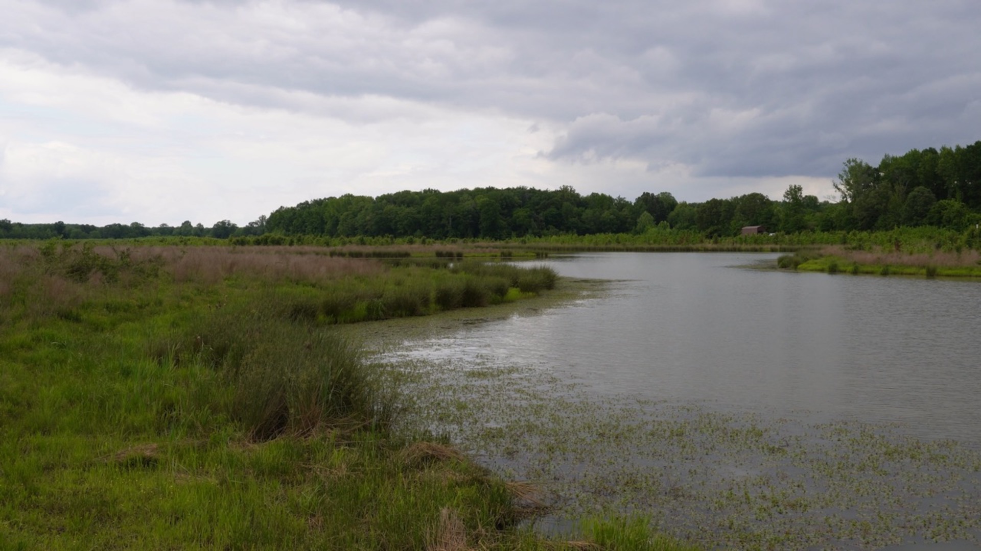 Mastering Different Perspectives