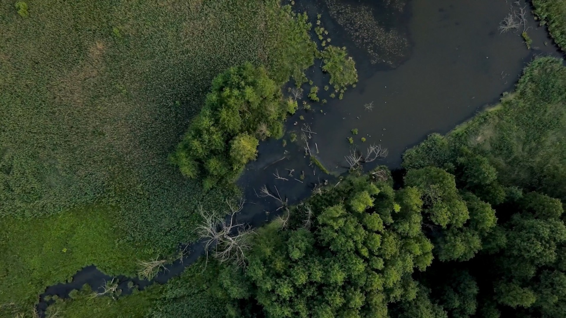 Scouting For Guaranteed Success