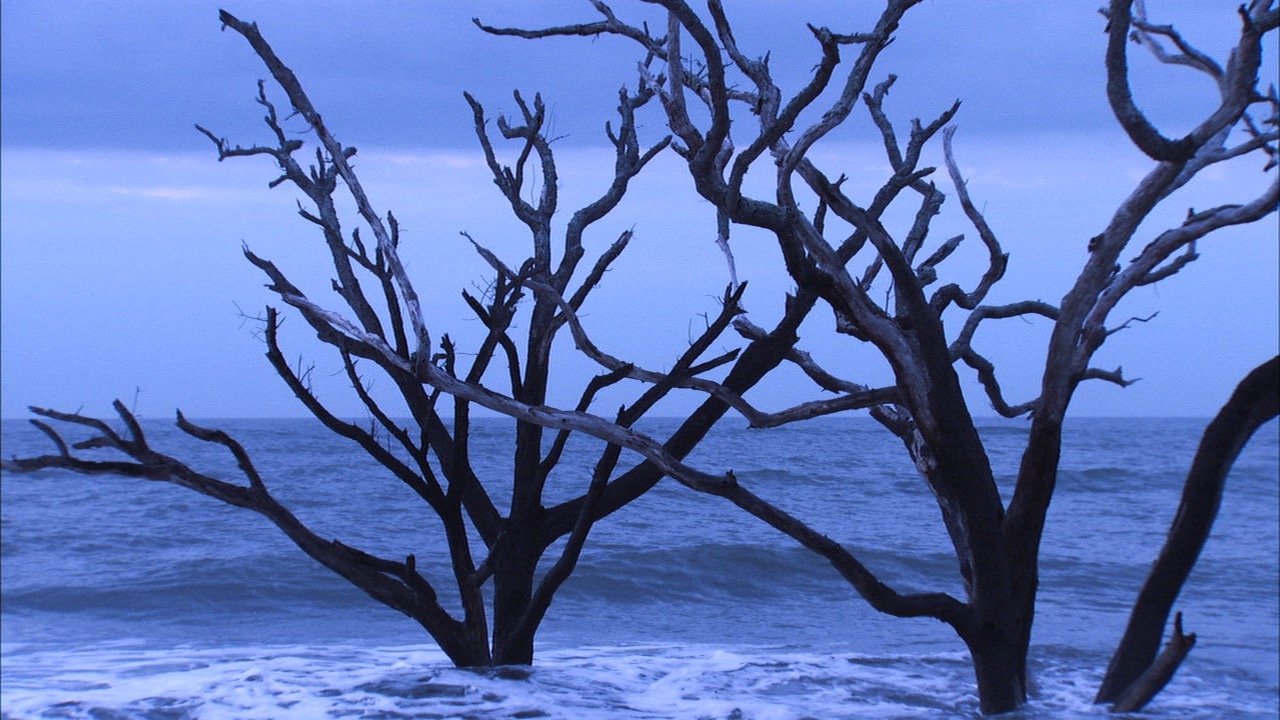 Using Long Exposure to Photograph Water