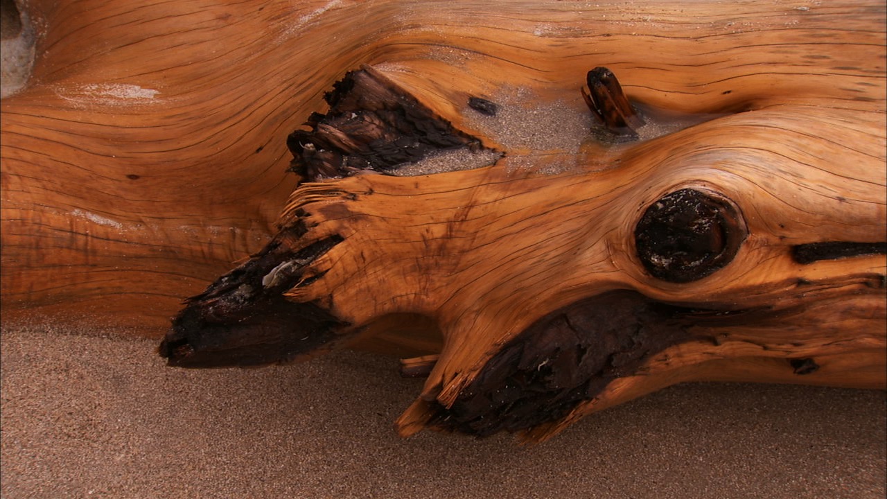 Black and White Conversion: Tips and Tricks