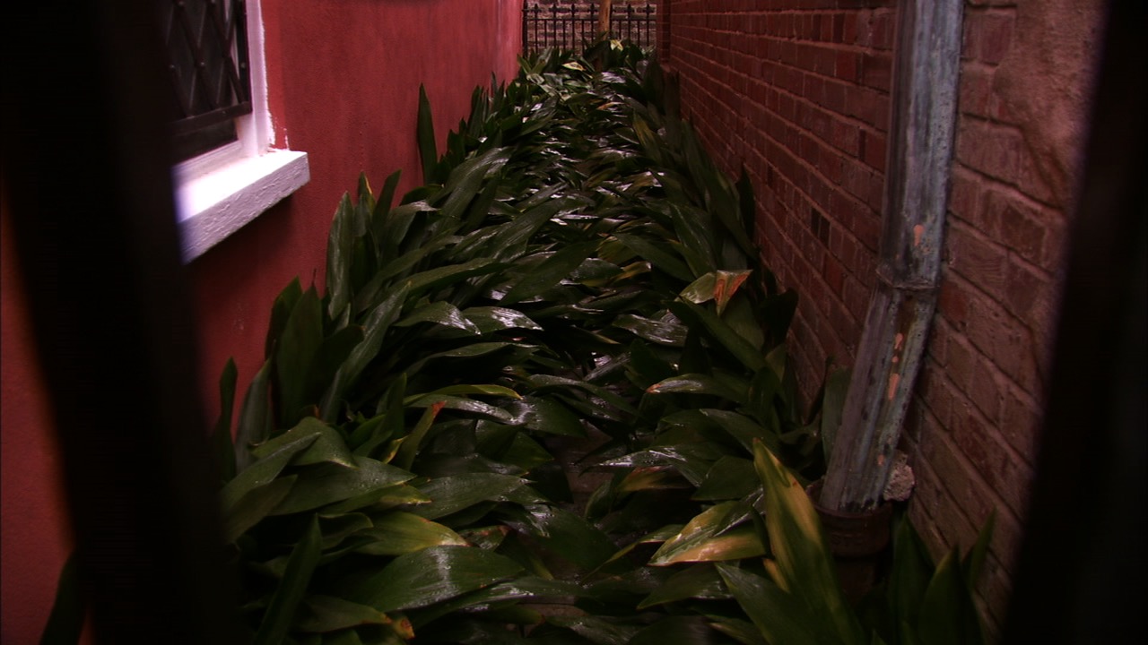 Infrared Photography: Shooting and Editing