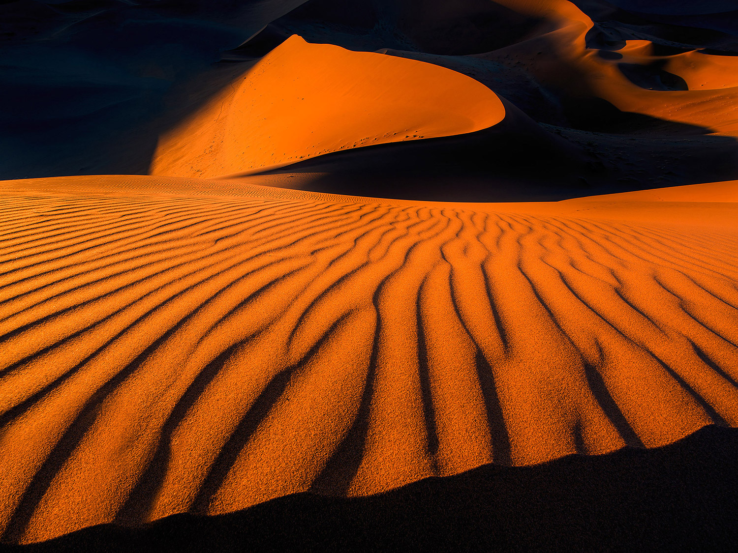 Namib-Naukluft National Park, Namibia | OPG Article | Outdoor ...