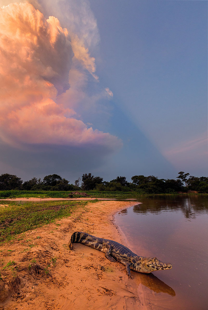 Pantanal4