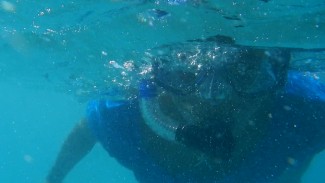 Underwater Photography Tips