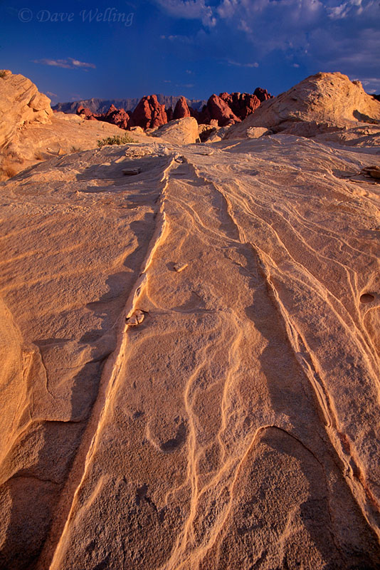 Leading Lines and Your Angle of Light for Landscapesarticle featured image thumbnail.