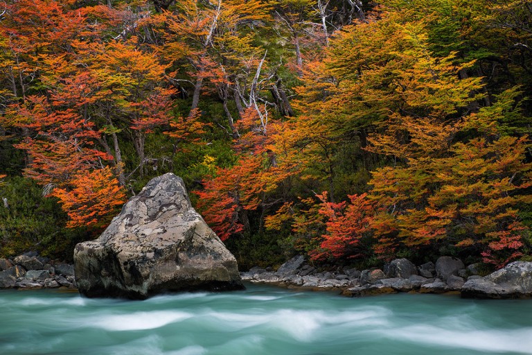 Tips for Capturing Breathtaking Fall Photographyarticle featured image thumbnail.