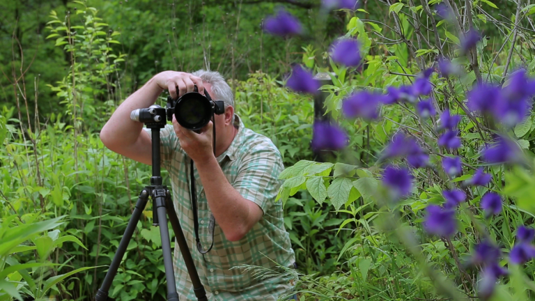 Photographing Wildflowers