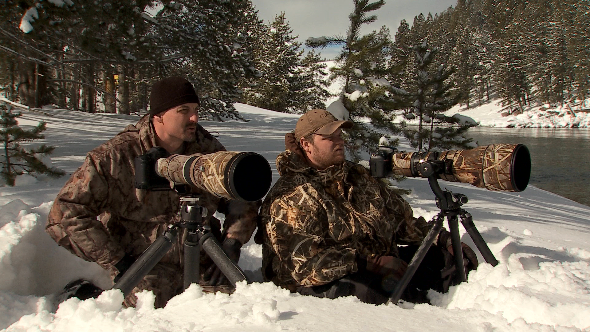 Winter Wildlife Photography Tips From The Pros Opg