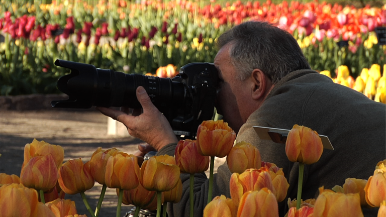 Considerations in Spring Photography