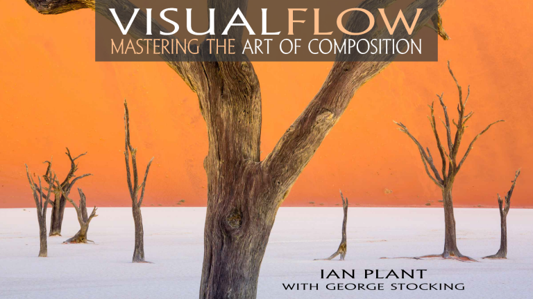 Visual Flow: Mastering the Art of Composition eBookproduct featured image thumbnail.