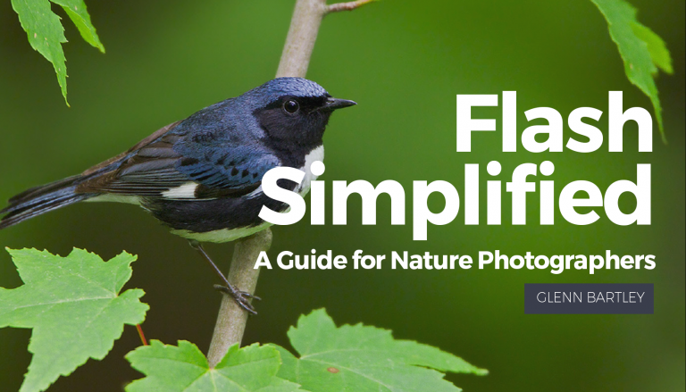Flash Simplified: A Guide for Nature Photographers eBookproduct featured image thumbnail.