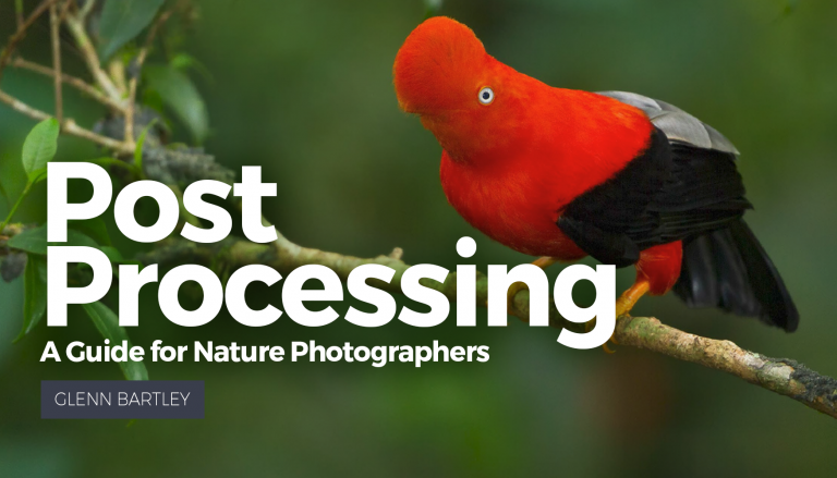 Post Processing: A Guide for Nature Photographers eBookproduct featured image thumbnail.