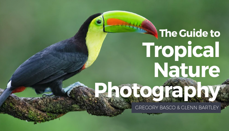 The Guide to Tropical Nature Photography eBookproduct featured image thumbnail.
