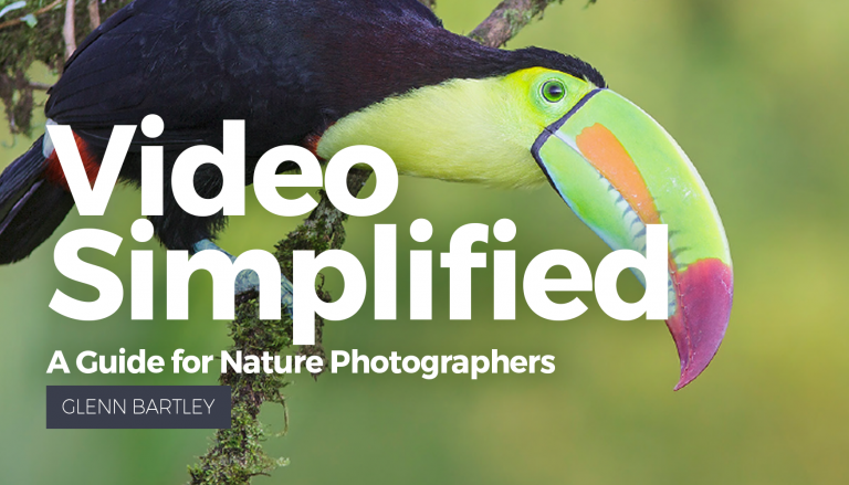 Video Simplified: A Guide For Nature Photographers eBookproduct featured image thumbnail.