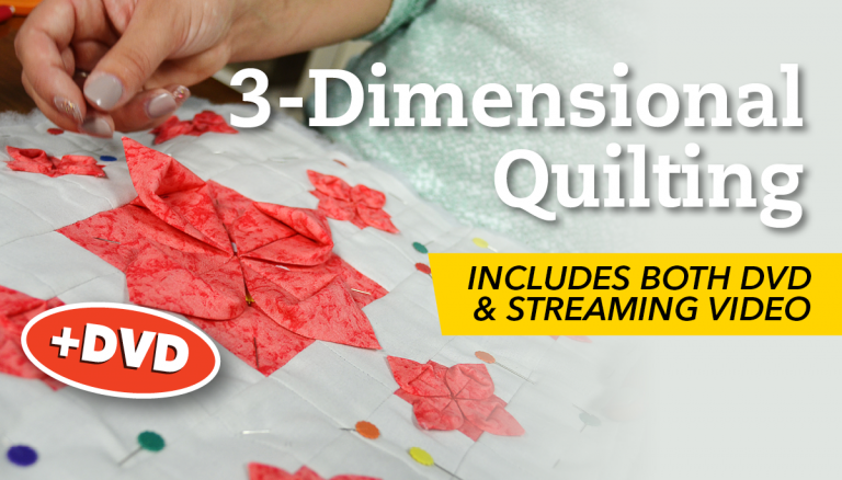 3-Dimensional Quilting + DVD