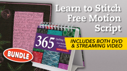 Learn to Stitch Free Motion Script + DVD & Quilting Designs Perpetual Calendar
