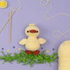 Crocheted chick