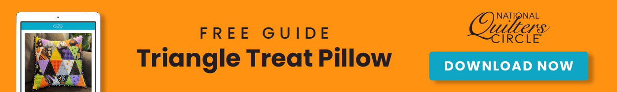 Triangle Treat Pillow