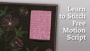 Learn to Stitch Free Motion Script + DVD & Quilting Designs Perpetual Calendar