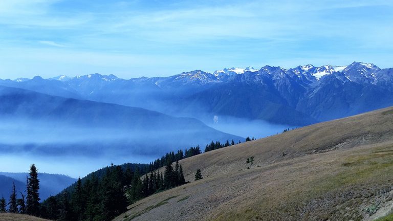 On the Road with Sue: Washington’s Olympic National Parkproduct featured image thumbnail.