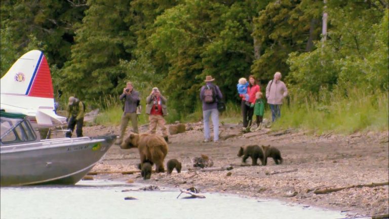 Katmai National Park and Preserve: Kayaks, Sockeyes and Bears, Oh My!product featured image thumbnail.