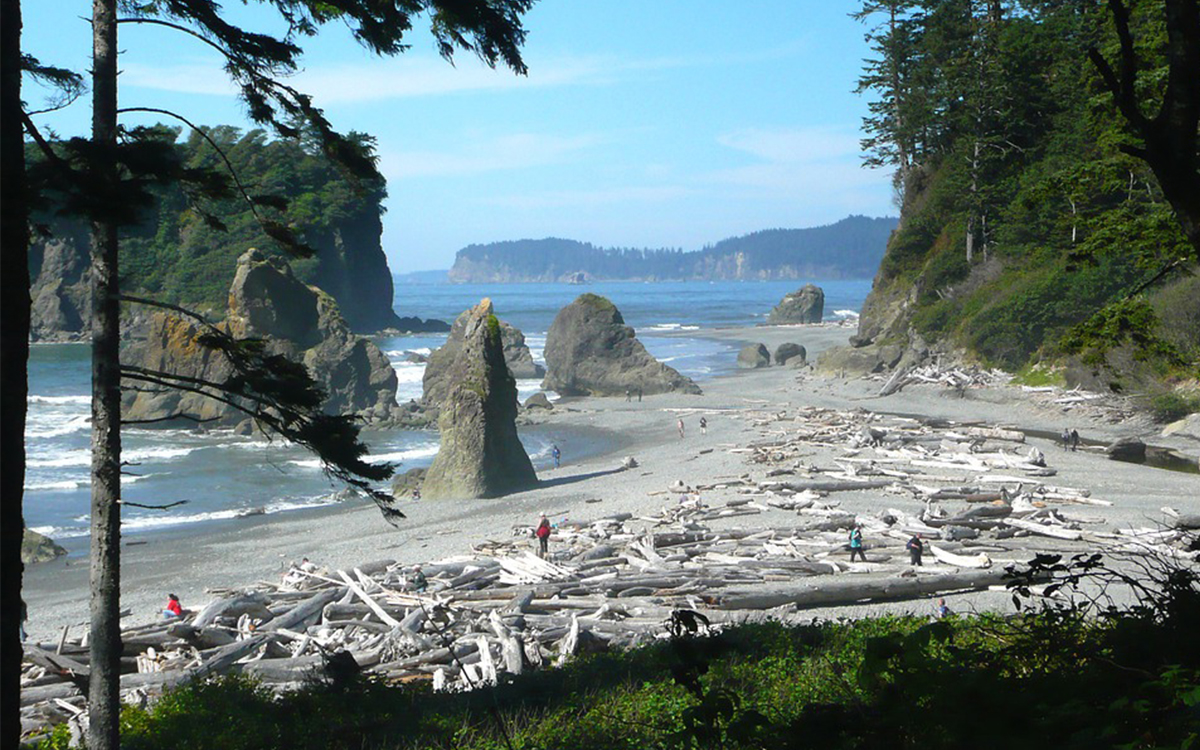 Olympic National Park