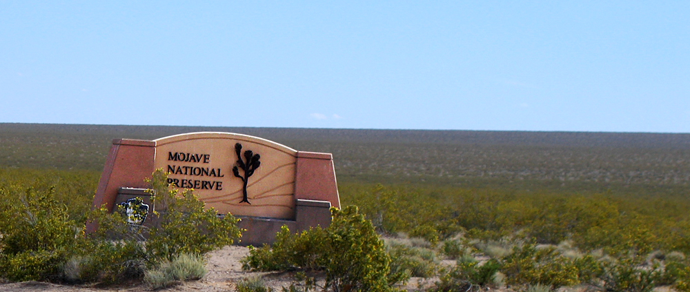 Mojave National Preserve Sign