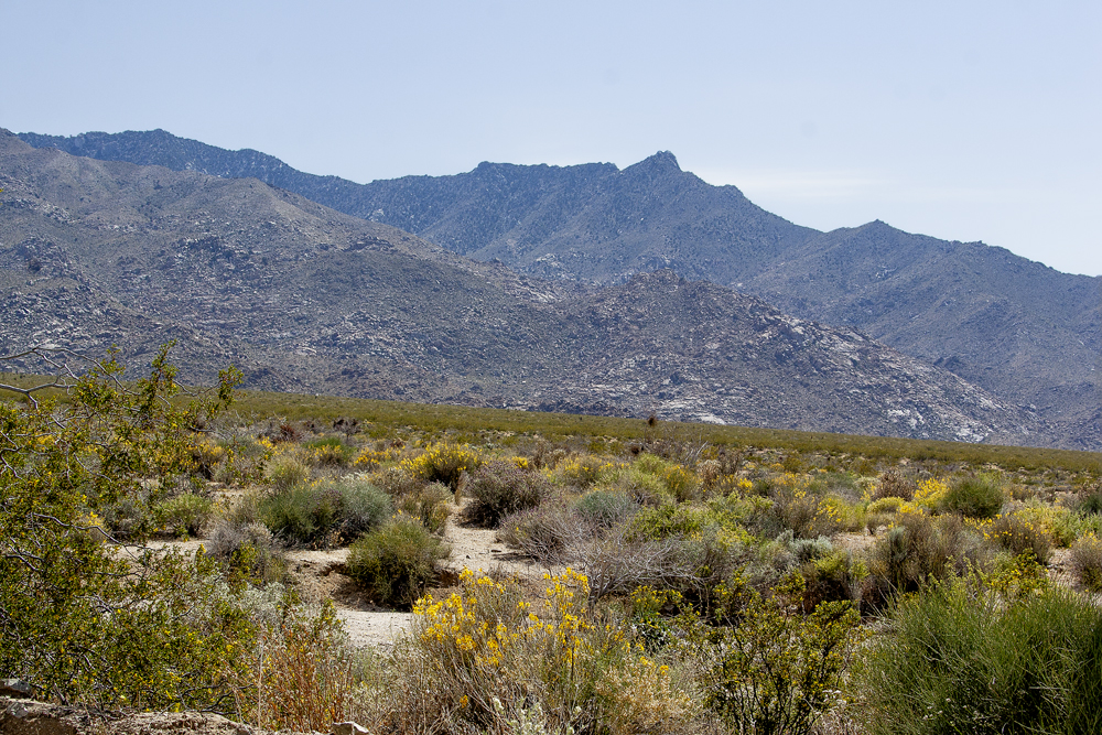 Desert with mountains