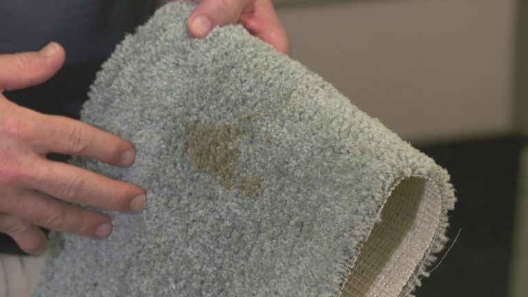 RV Flooring Maintenance: Keeping Carpet Cleanproduct featured image thumbnail.