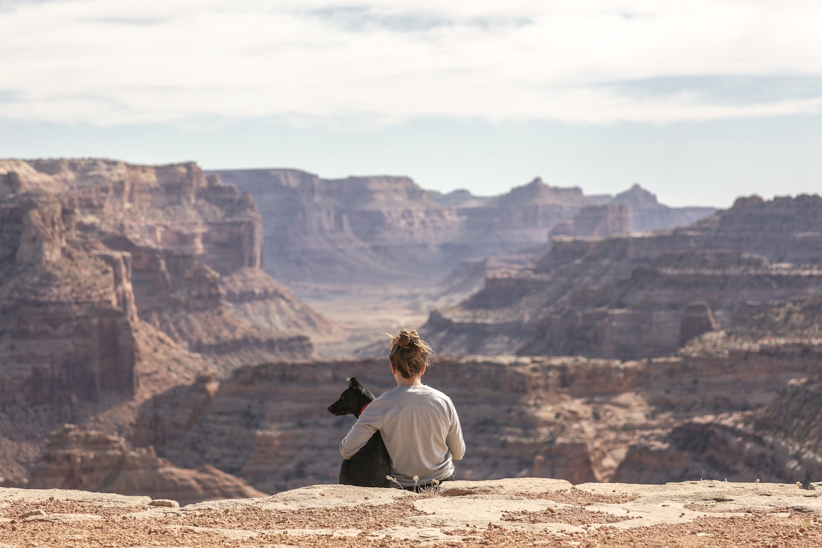 Person and a dog sitting by a canyon