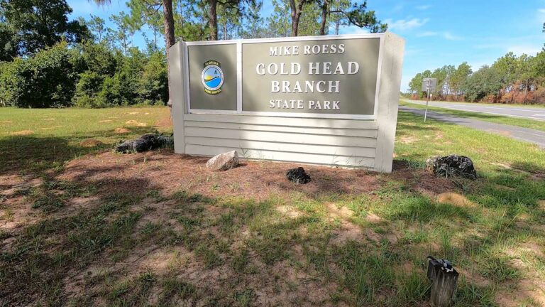 Gold Head Branch State Park Reviewproduct featured image thumbnail.