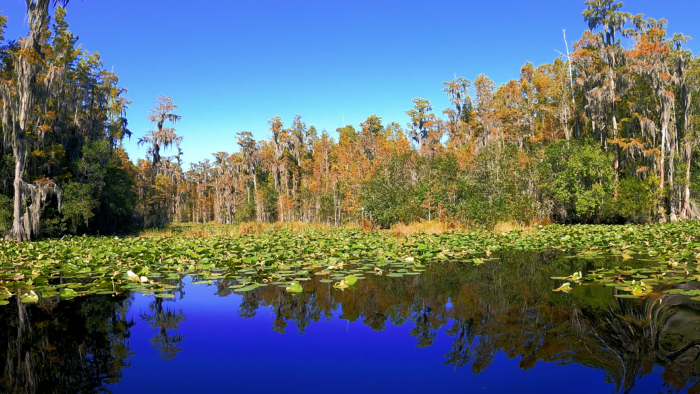 Stephen C. Foster State Park, GA: Campground Review | RV Repair Club