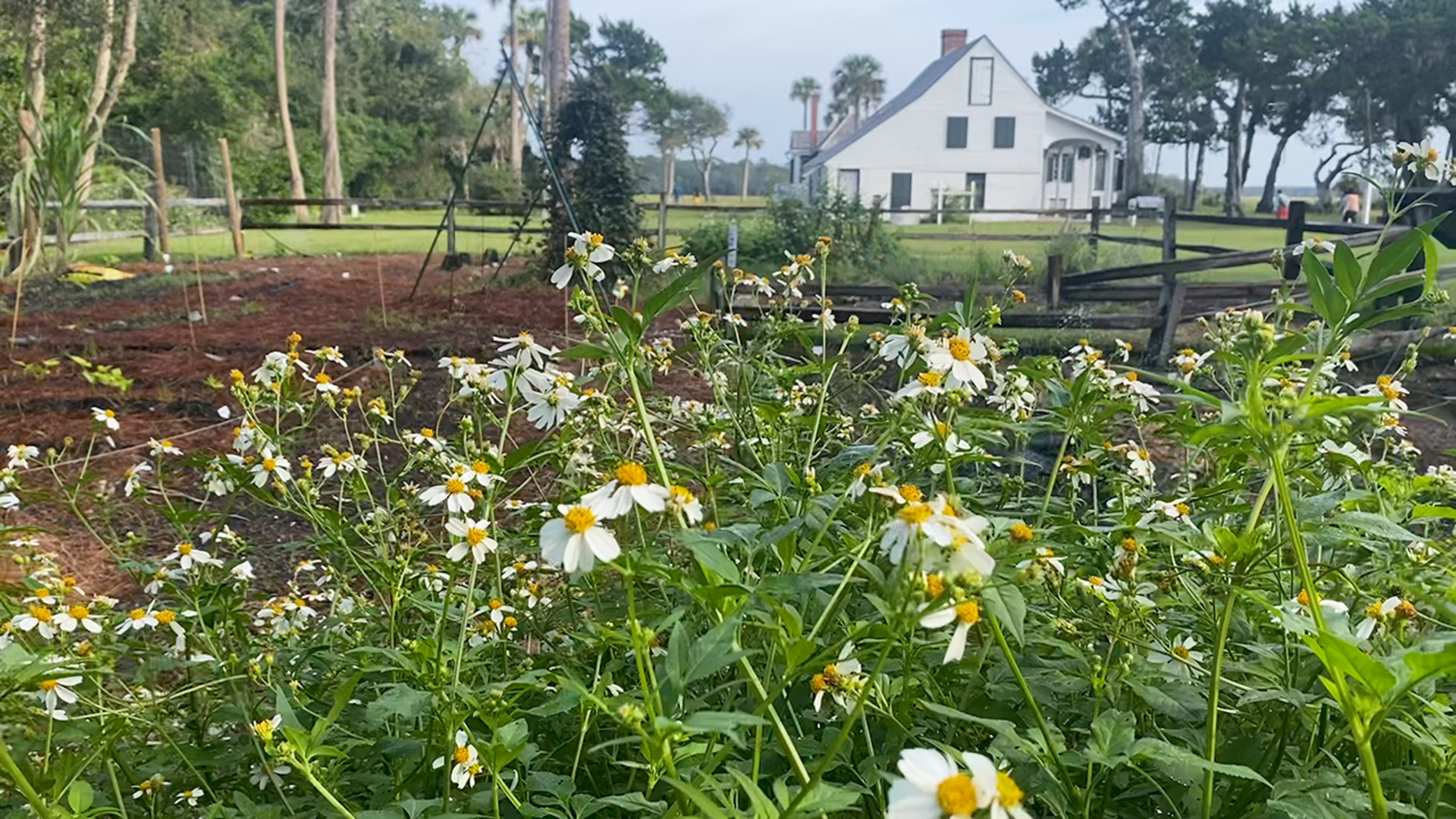 Touring Kingsley Plantation RV Repair Club