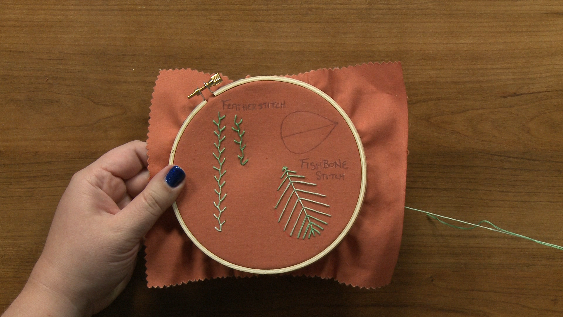 Session 10: French Knots & Seed Stitches