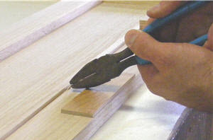 tame-wayward-nail-3-copy-copy