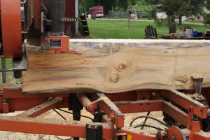 Turning Logs into Wood Flooring