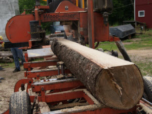 Turning Logs into Wood Flooring