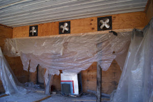 Kiln Drying Logs for Wood Flooring