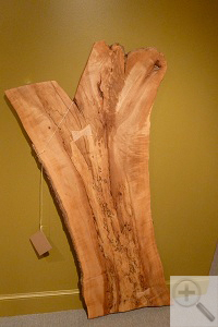 Turning Connecticuts Trees into Furniture